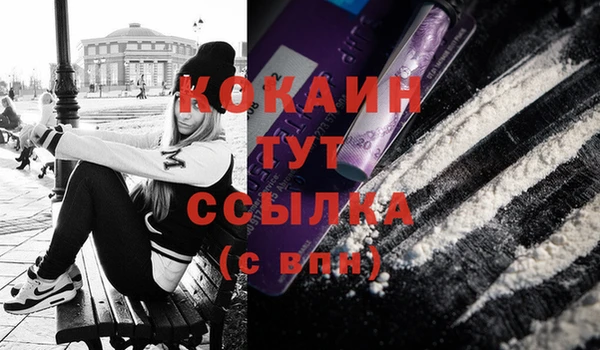 соль ск Рославль