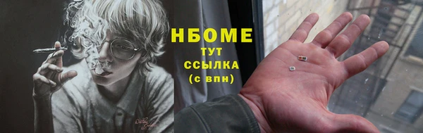 соль ск Рославль