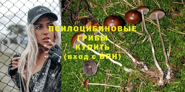а пвп мука Ростов