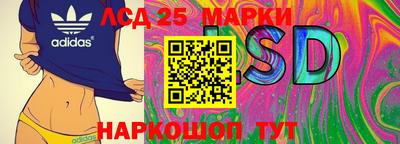 прущие грибы Моздок