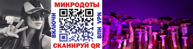 Галлюциногенные грибы прущие грибы  ссылка на мегу онион  Тавда 