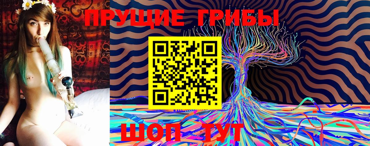 Тавда  Псилоцибиновые грибы Psilocybe  Вход с VPN 