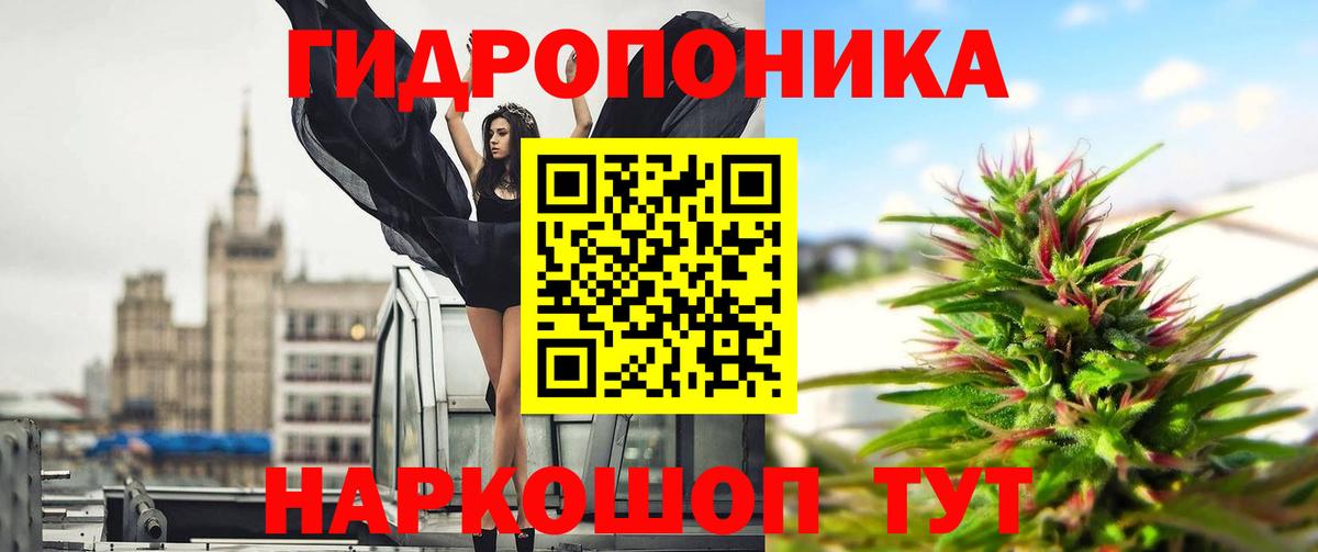 Шишки марихуана Ganja  Шишки марихуана Amnesia  Конопля сатива  Тавда  Вход с VPN 